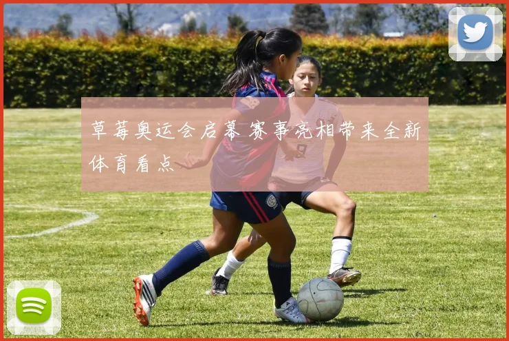 草莓奥运会启幕 赛事亮相带来全新体育看点